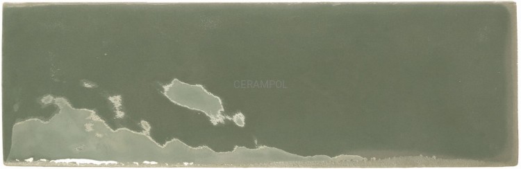 __0011_MOSS_brillo.jpg