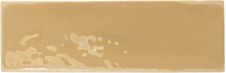 __0013_MUSTARD_brillo.jpg