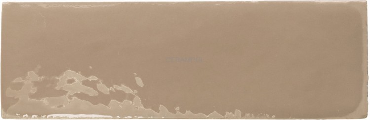 __0005_TOPO_brillo.jpg