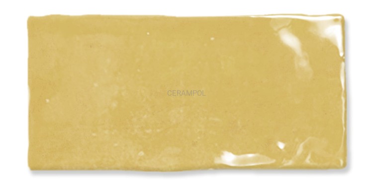 mustard4.jpg