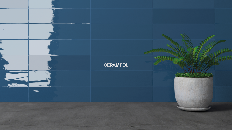 indigo gloss AR.png
