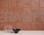 VALENOVA-CLAY-LT-12x12_DET1_SZ1.jpg