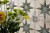 FS-STARLIGHT-SAGE_DET_V_SZ1.jpg