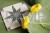 FS-STARLIGHT-SAGE-DET_H_SZ1.jpg
