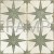 38164fs--star--sage04_v-cd_SZ1.jpg