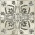 39368_FS-IVY-BLACK_09_SZ1.jpg