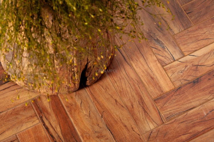FS_FOREST-PLANK_SZ1.jpg