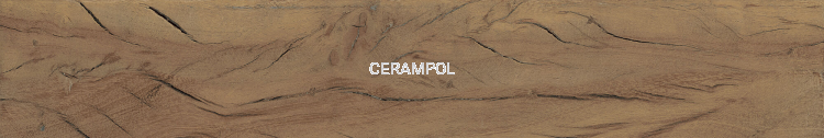 39699_FS_FOREST_PLANK_NATURAL_01B_SZ1.png