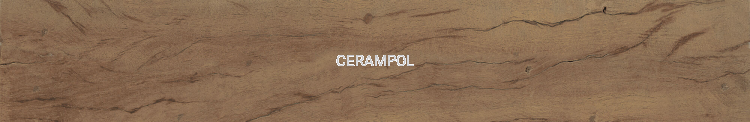 39699_FS_FOREST_PLANK_NATURAL_01A_SZ1.png