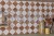 FS-ARLES-BROWN_DET_SZ1.jpg