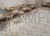 2_FS%20SEAL%20%2B%20FS%20MUD%20WHITE_SZ1.jpg