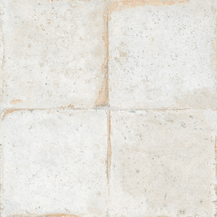 38177fs--roots06_v-6c_SZ1.png