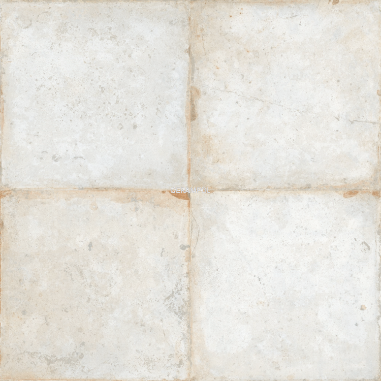 38177fs--roots04_v-mE_SZ1.png
