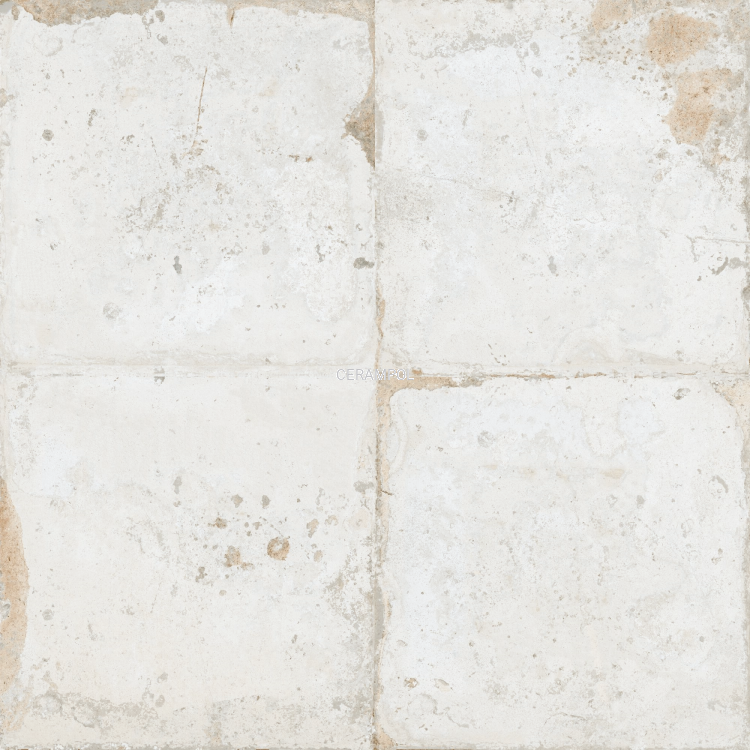 38177fs--roots05_v-h1_SZ1.png