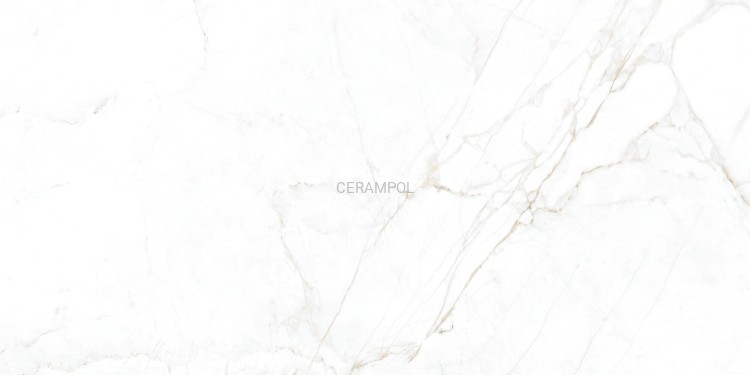 31741_DUAL_WHITE_60X120_EP_03_SZ1.jpg