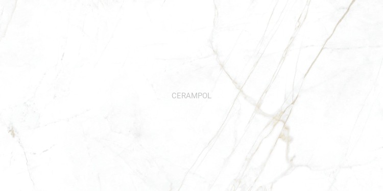 31741_DUAL_WHITE_60X120_EP_01_SZ1.jpg