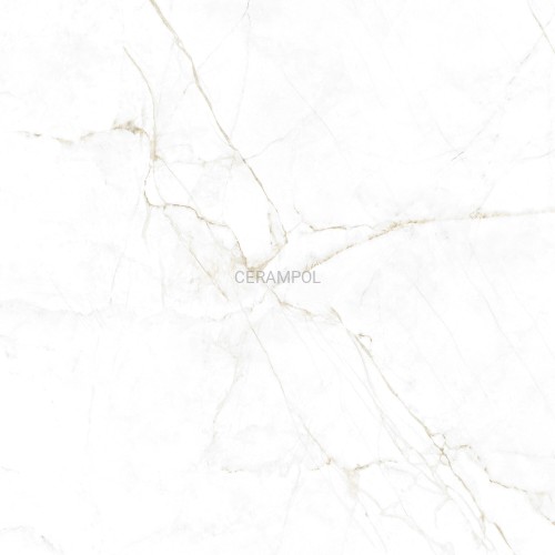 41145_DUAL_WHITE_SP_100X100x0%2C8_R_4_SZ1.jpg