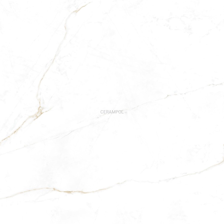 41145_DUAL_WHITE_SP_100X100x0%2C8_R_5_SZ1.jpg