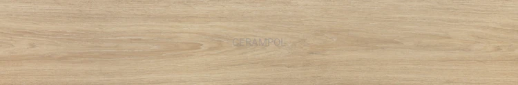 Tanzania Almond 25x150.jpg